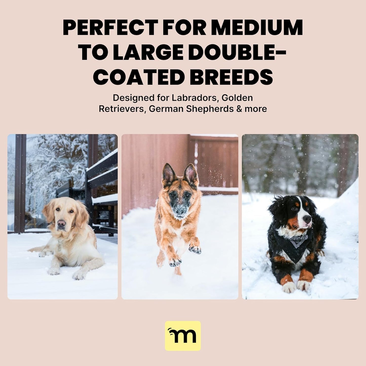 Dog Grooming Brush for Shedding - 2 in 1 Deshedding Tool and Undercoat Rake for Long and Short Haired Dogs with Double Coat - Dematting Comb and Pet Hair Deshedder Supplies (Large, Blue)